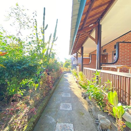Green Orry Inn Tetebatu Dış mekan fotoğraf